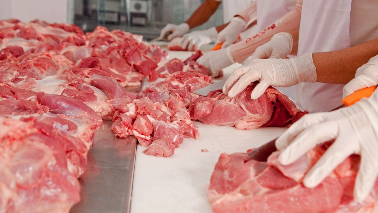 Моющие средства для мясоперерабатывающих предприятий