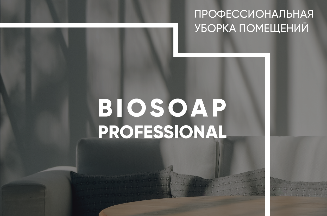 BIOSOAP PROFESSIONAL - обновленная линейка профессиональных моющий средств